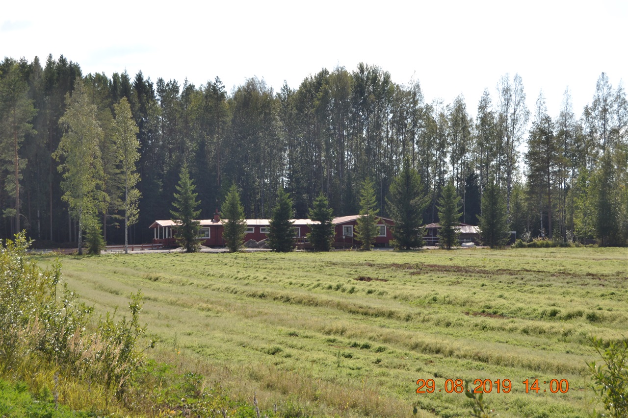 Maisema